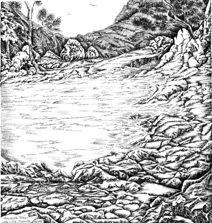 Along the Tarn by Meri C Fox-Szauter