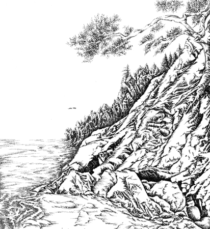 Down to the Sea by Meri C Fox-Szauter