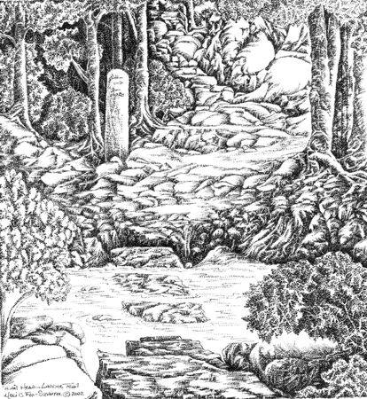 Ladder Trail by Meri C Fox-Szauter
