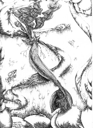 The Little Mermaid by Meri C Fox-Szauter