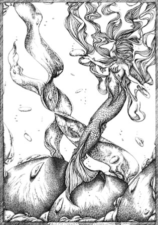 Mermaid II by Meri C Fox-Szauter