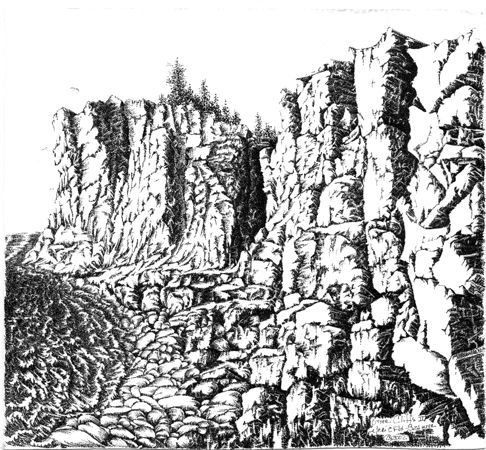 Otter Cliffs by Meri C Fox-Szauter