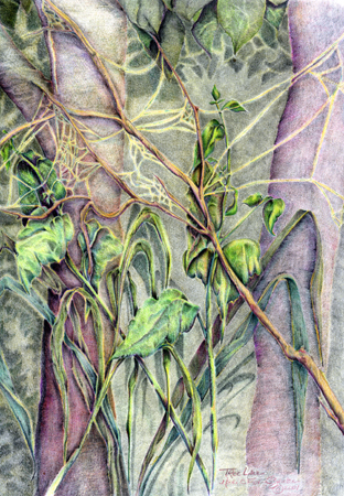 Tree Lace by Meri C Fox-Szauter