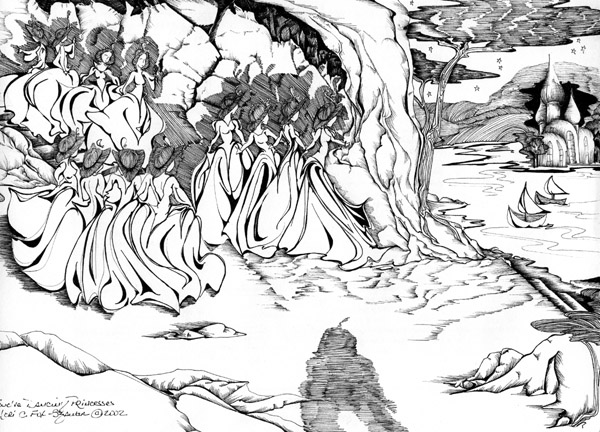 The Twelve Dancing Princesses by Meri C Fox-Szauter