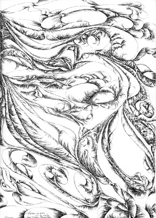 Voices in the Wind by Meri C Fox-Szauter