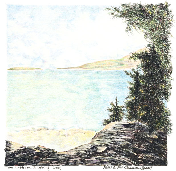 View from a Shady Spot by Meri C Fox-Szauter