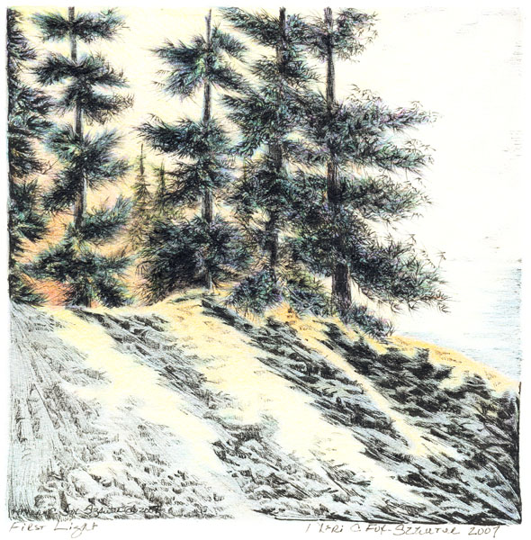 First Light by Meri C Fox-Szauter