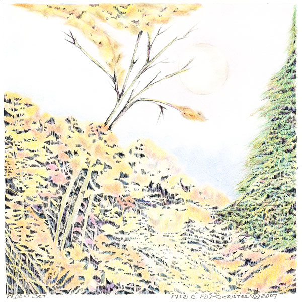 Moon Set by Meri C Fox-Szauter