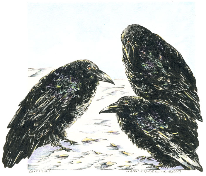 Got Food? by Meri C Fox-Szauter