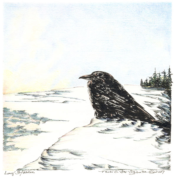 Long Shadows by Meri C Fox-Szauter