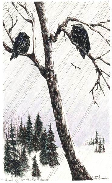 Waiting Out the Rain by Meri C Fox-Szauter