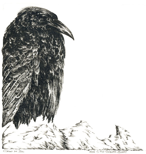 Crow on Ice 2 by Meri C Fox-Szauter