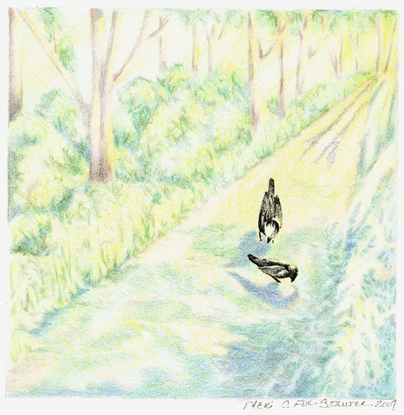 Untitled 2 by Meri C Fox-Szauter