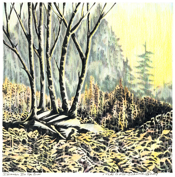 Islands in the Sun by Meri C Fox-Szauter