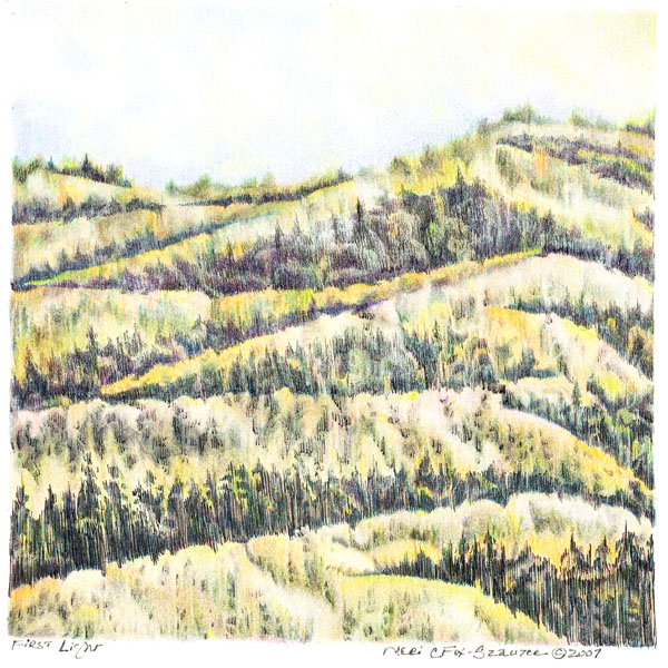 First Light 2 by Meri C Fox-Szauter